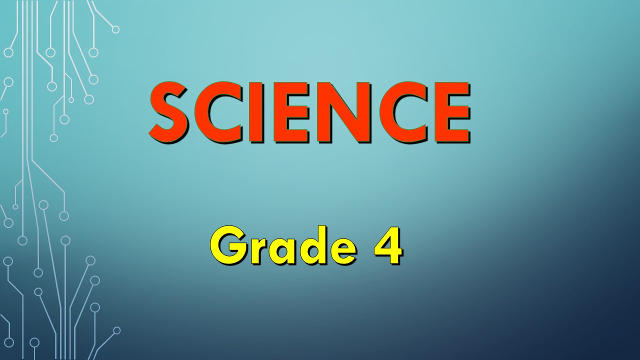 Science 4 Quarter 4