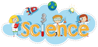 SCIENCE 3