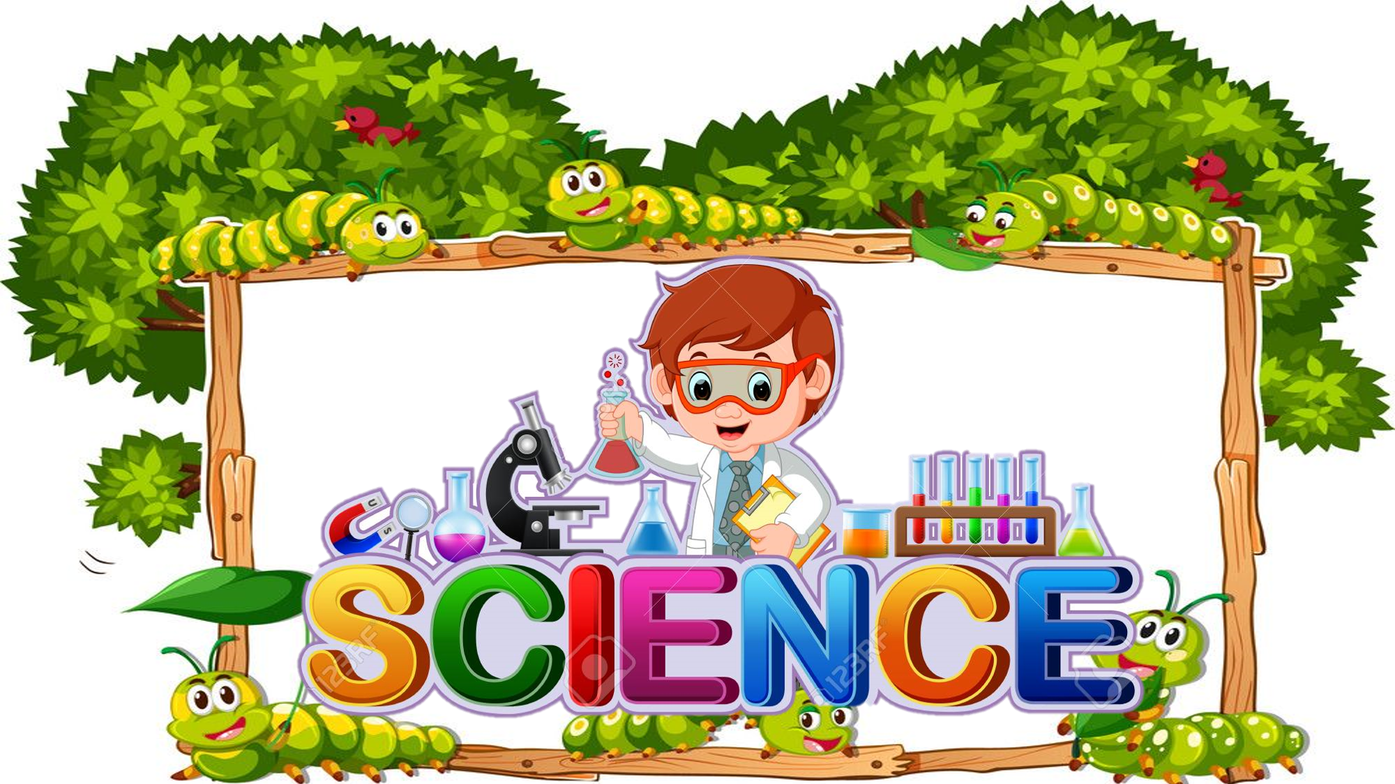 SCIENCE 6