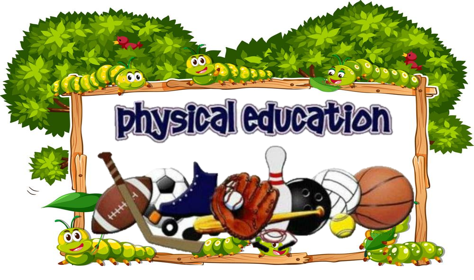 Physical Education 6